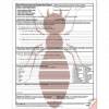 NPMA-33 Wood Destroying Insect Inspection NPMA-33 Wood Destroying Insect Inspection