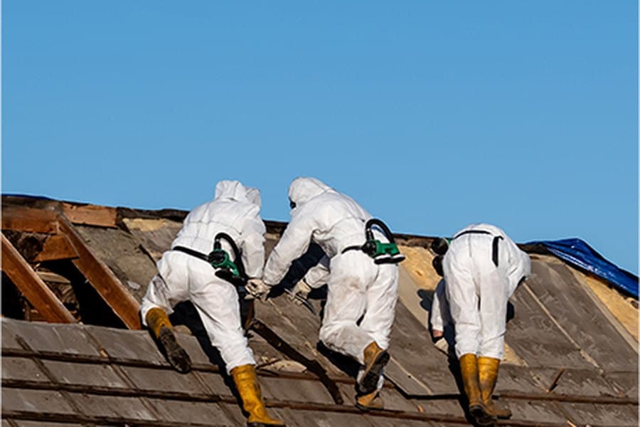 Asbestos Services
